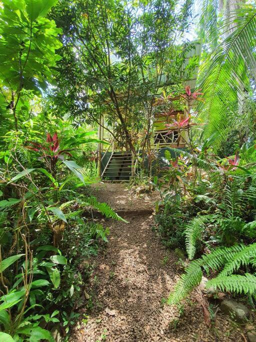 Cabina Gan Eden - Walking Distance From River Portalón Exterior foto